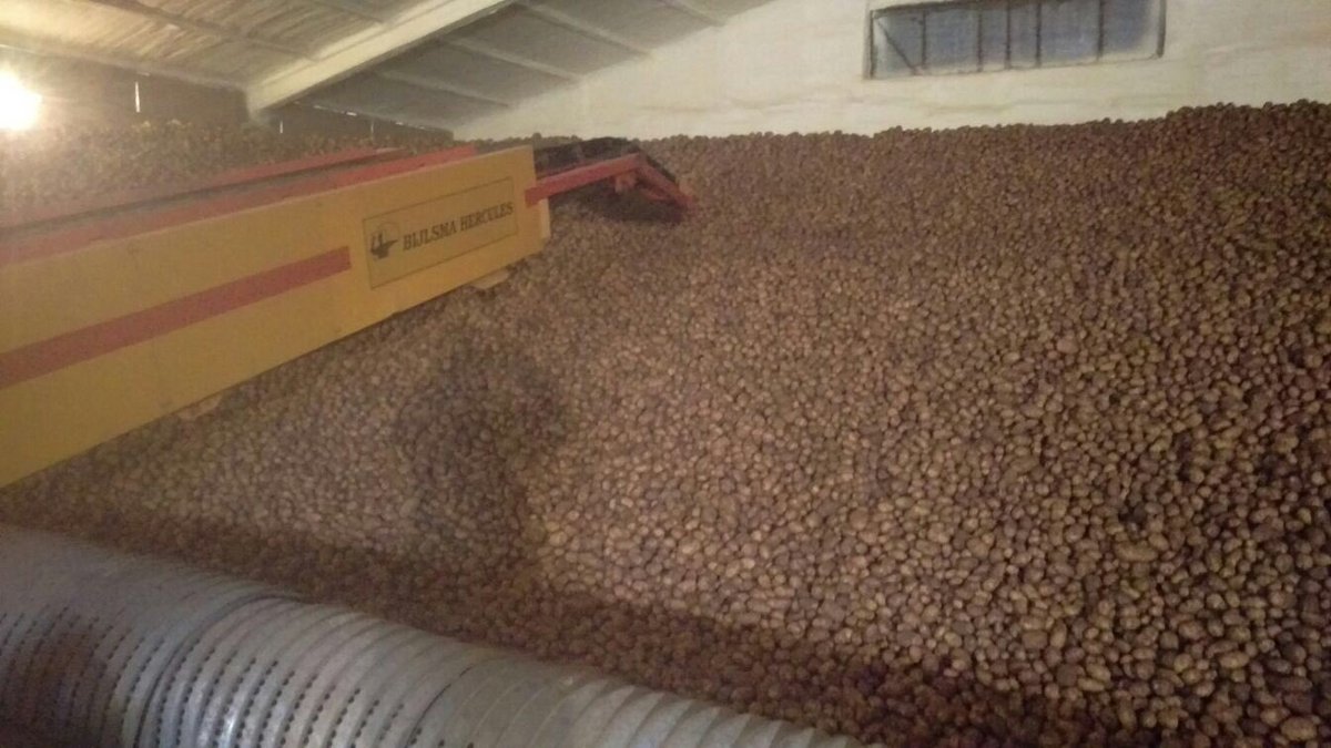CharlieChippers's tweet photo. Markee's in the shed! Potatoes in store!!!! https://t.co/3ukbiOSNdY