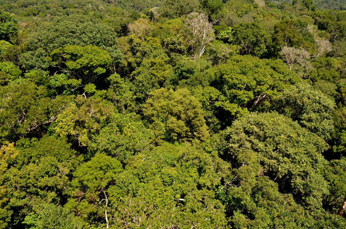 ukinbrazil's tweet image. UK researcher? Apply to 4 @NewtonFund opportunities with @metoffice's #CSSPBrazil project ow.ly/gnkJ304hh4z Deadline postponed