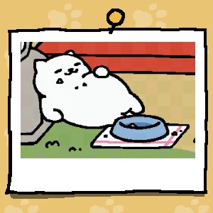 またきてる #ねこあつめ 