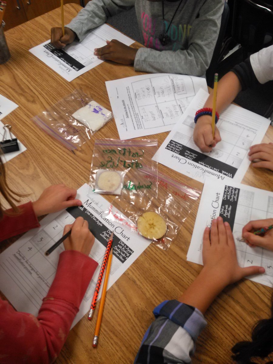 ALPHA 3rd graders observe and record changes in their mummified apples! #misdgt #webblc #ancientegypt #mummification