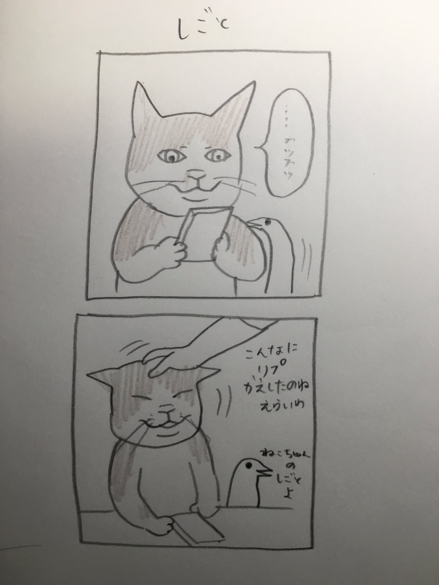 Yuko Higuchi ヒグチユウコ しごと ヒグチユウコ絵日記 ボリス絵日記 T Co B5w8dbh3ht Twitter