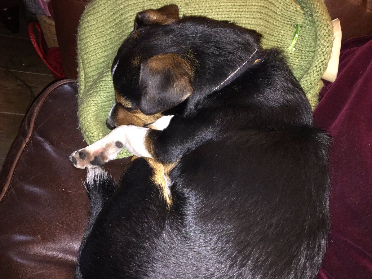 KarenBerrys's tweet image. Felt chilly,made hot water bottle,let youngest in from school,returned to this #thief #notdaft