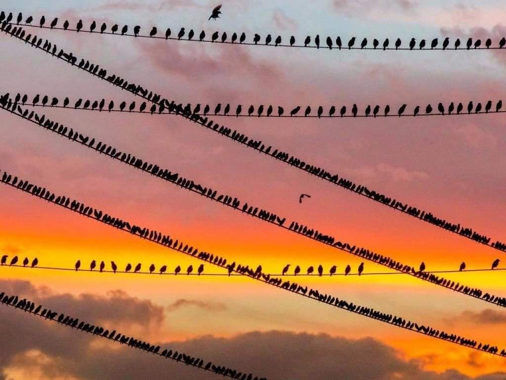 Anatoliy Bragin tweet media