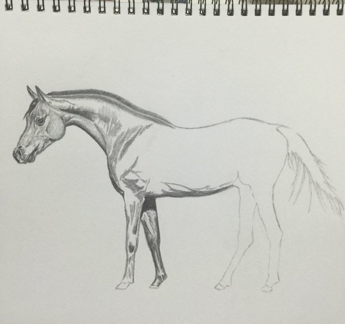 色鉛筆画のtwitterイラスト検索結果 古い順 色鉛筆画のtwitterイラスト検索結果 古い順