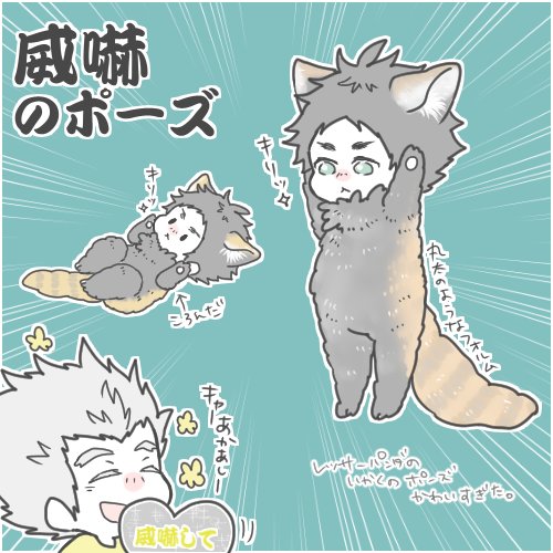 バッ! 