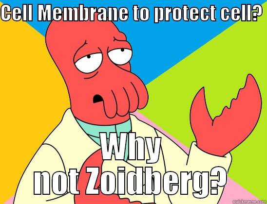cytoesqueleto's tweet photo. @cellomembrano you don't seem as qualified ☠️ https://t.co/eO9rJu7989