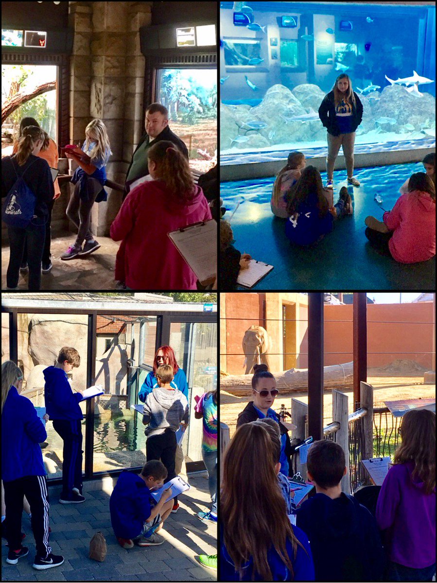 AWLSJH's tweet photo. Mrs. Eubanks & Mr Borcherdt's 7th grade science students investigated endangered species at the Toledo Zoo today. #EnthusiasticLearning! https://t.co/aEkN806lYv