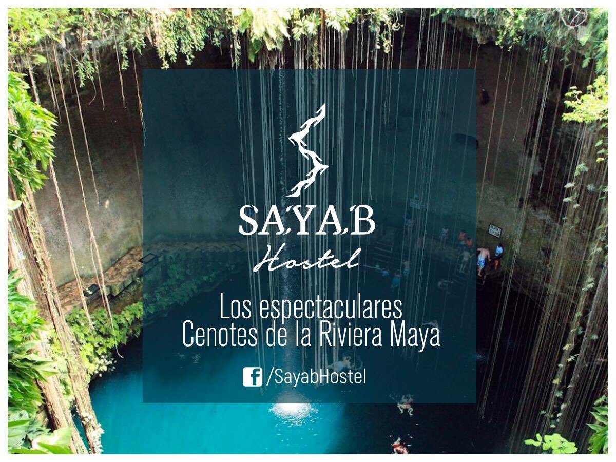 SayabHostel's tweet photo. Completa tu experiencia en la Riviera Maya desde #SAYABhostel visitando estas maravillas de la naturaleza: Los Cenotes. https://t.co/mfbWbb9ln2