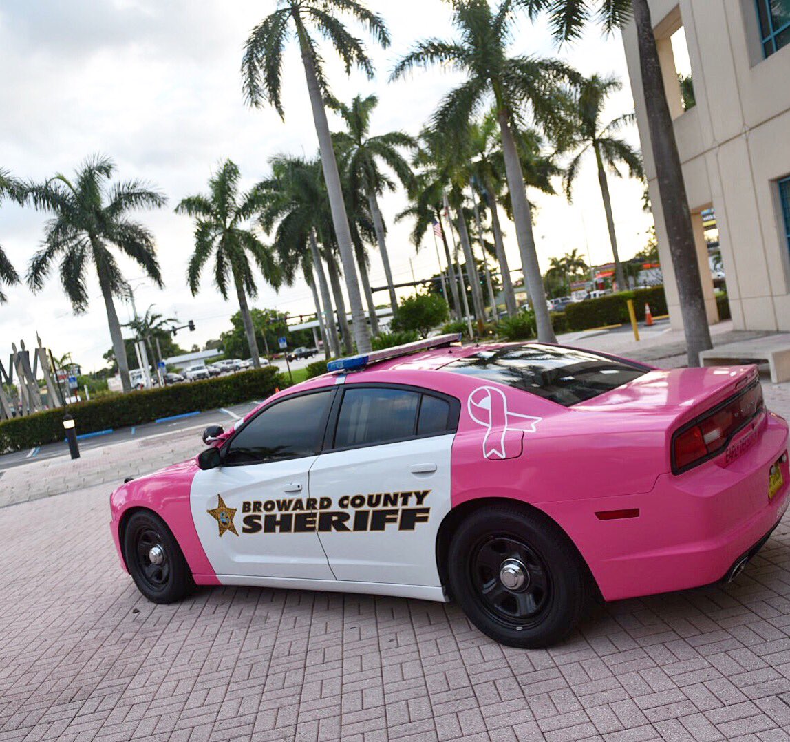 BSO Instagram tweet media