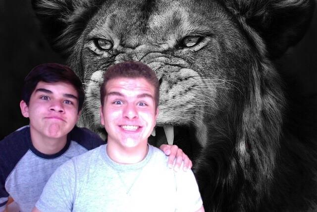 MoHo_StuCo's tweet photo. These guys are today's #DJIF! #bros #notareallionbehindthem https://t.co/jqXOHhGr85