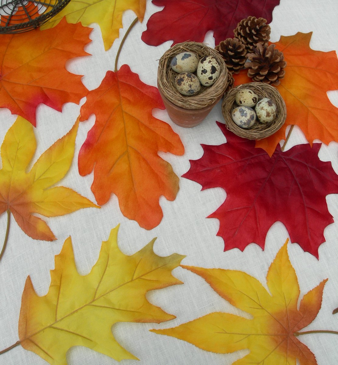 justaddadress's tweet photo. #autumnbride #autumnwedding #diywedding #autumndecorations #autumntable #falltable #halloweenparty #weddinginspiration #notonthehighstreet https://t.co/gPdsp1JQzw