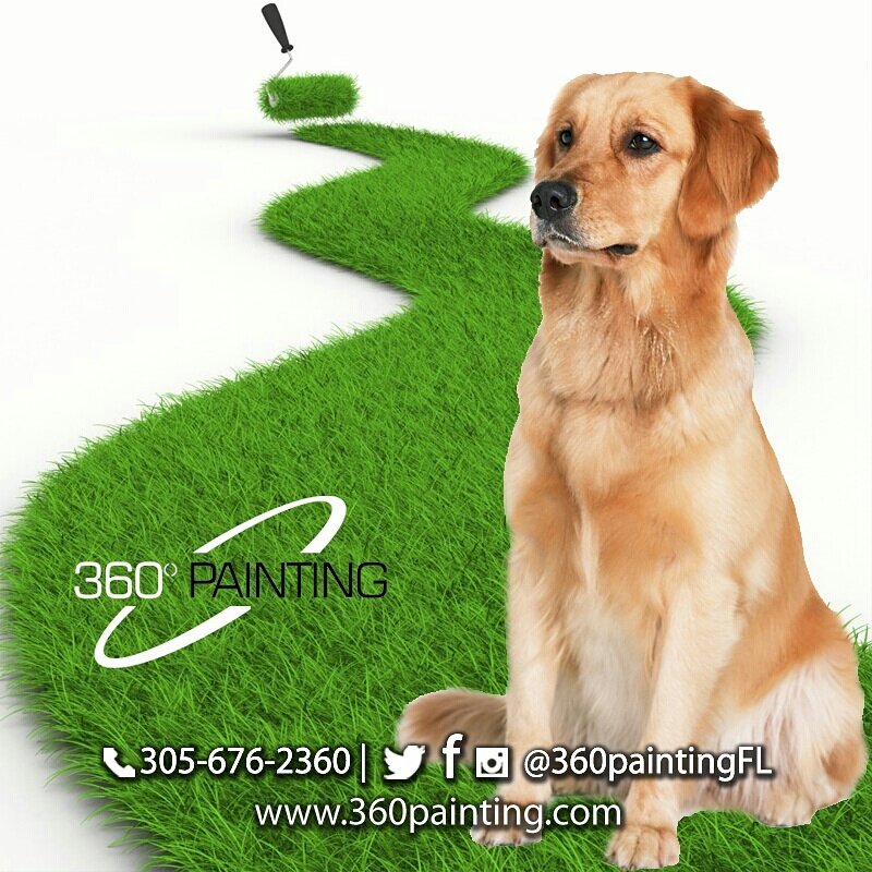 Pets can be more sensitive to chemicals and pollutants than human beings. That's why we recommend to use #EcoPetsPaint in any pet enclosure.