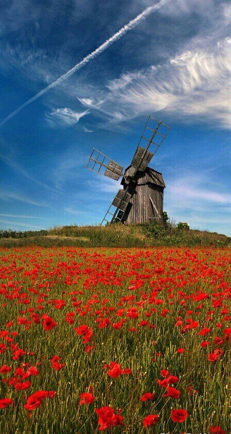 8807_2425's tweet photo. @LinsonVarughese 내친구소중한친구@thylu11 @valeriazolota @NkViktori42 @varshu9999 @viktorinini @TShinkarenko @vvikakan https://t.co/cq4nzAx7X0