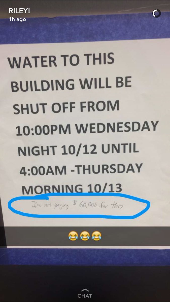 thingsrileydoes's tweet image. Riley better show this account to her college friends...