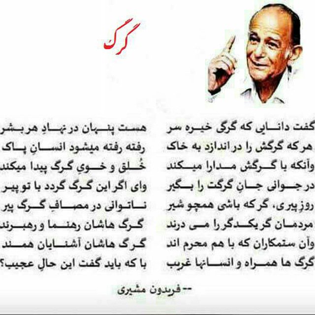 interpolationnn's tweet image. 