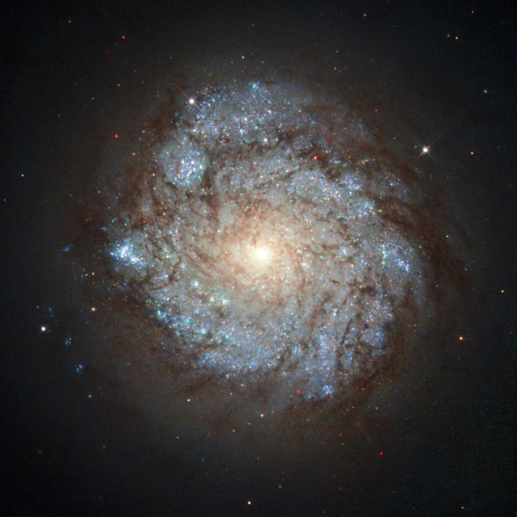 This galaxy seen by <a href="/NASA_Hubble/">NASA Hubble</a> is bursting with star formation, taking place only within its blue-hued inner ring: go.nasa.gov/2efP0eM