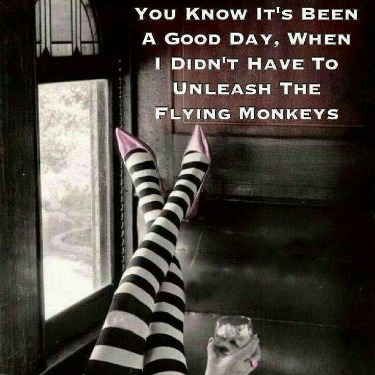 be_bedazzled's tweet photo. Lol been a good week then. 😂😂 https://t.co/N77aWGgqAu