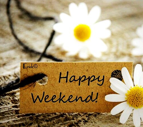 kandopest's tweet photo. Wishing everyone a lovely weekend! 
Remember K&amp;O are on call 24/7 - Colin Sims: 07940751255 
#beckbromfl #wowbromley #openallhours #pests https://t.co/R7UOLRciqn