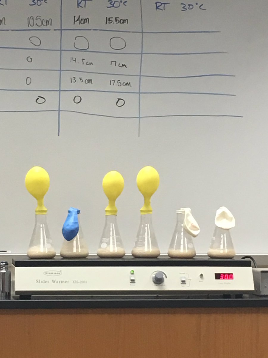 ljtaylor14's tweet photo. Measured cellular respiration in lab this week. @UNKBiol106CW #106week8 https://t.co/KLMgKOdYLu
