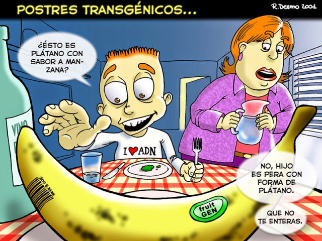 sigridmeyerc's tweet photo. ¿Qué es un alimento transgénico? Comenta lo que te sugieren las imágenes. https://t.co/3asOc25hWu