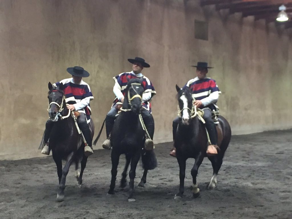 CarmenereMundo's tweet photo. Show de Caballos Chilenos en Haras Peñaflor, a 10 minutos de la  premiacion, no se la pierdan vía streaming https://t.co/zWAjGvL9tt https://t.co/EYlXB84qOT