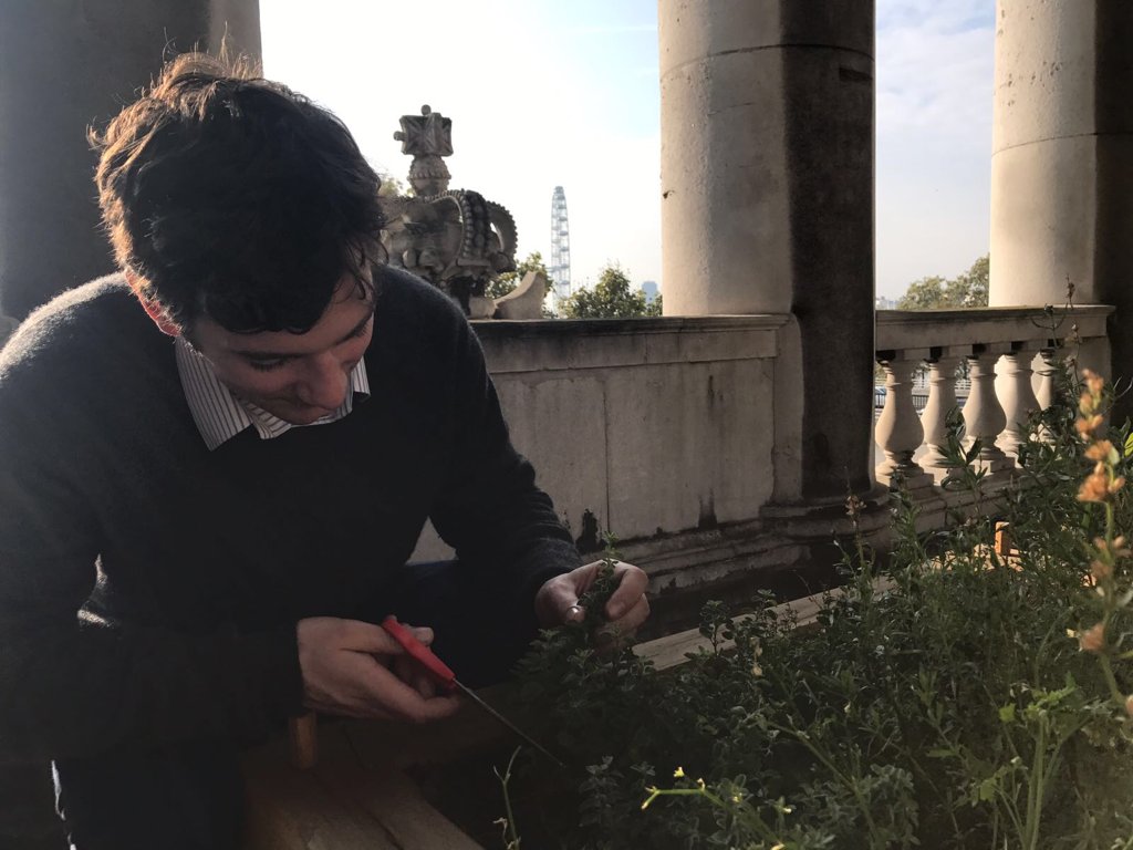 sipsmith's tweet photo. Today's @SomersetHouse gin adventure. From roof garden to first test batch, @SipsmithOllie working his magic. https://t.co/oj6NLFd9VW