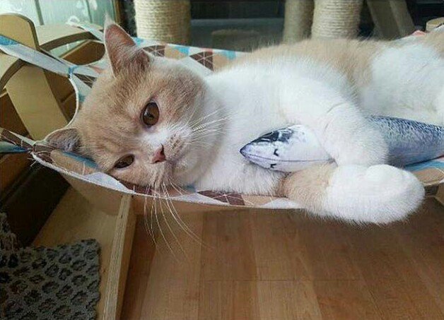 Kavga edeli 3 saat oldu hala yazmadı yatışı