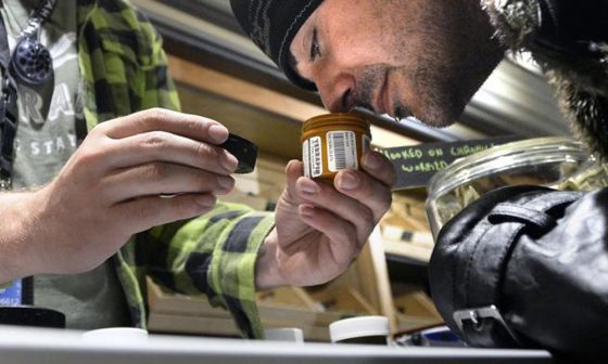 WeedBarrels's tweet photo. Cannabist Show: He’s a cannabis sommelier; He wants Pueblo to say ‘No on 200’ https://t.co/E9cfn6dhXr https://t.co/xtvbJVEsJG