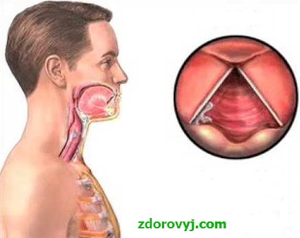 stepbizz's tweet image. Полезная информация про такое известное заболевание как кашель. каким бывает #кашель и почему он опасен для здоровья zdorovyj.com/kashel/