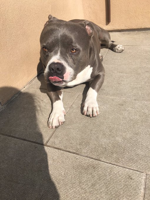 Good morning world. Go follow me on snapchat: prettyxxxgirl https://t.co/CJRzkbvs9D<a href="/tag/schoolgirl"class="tags"><span>#schoolgirl</span></a>