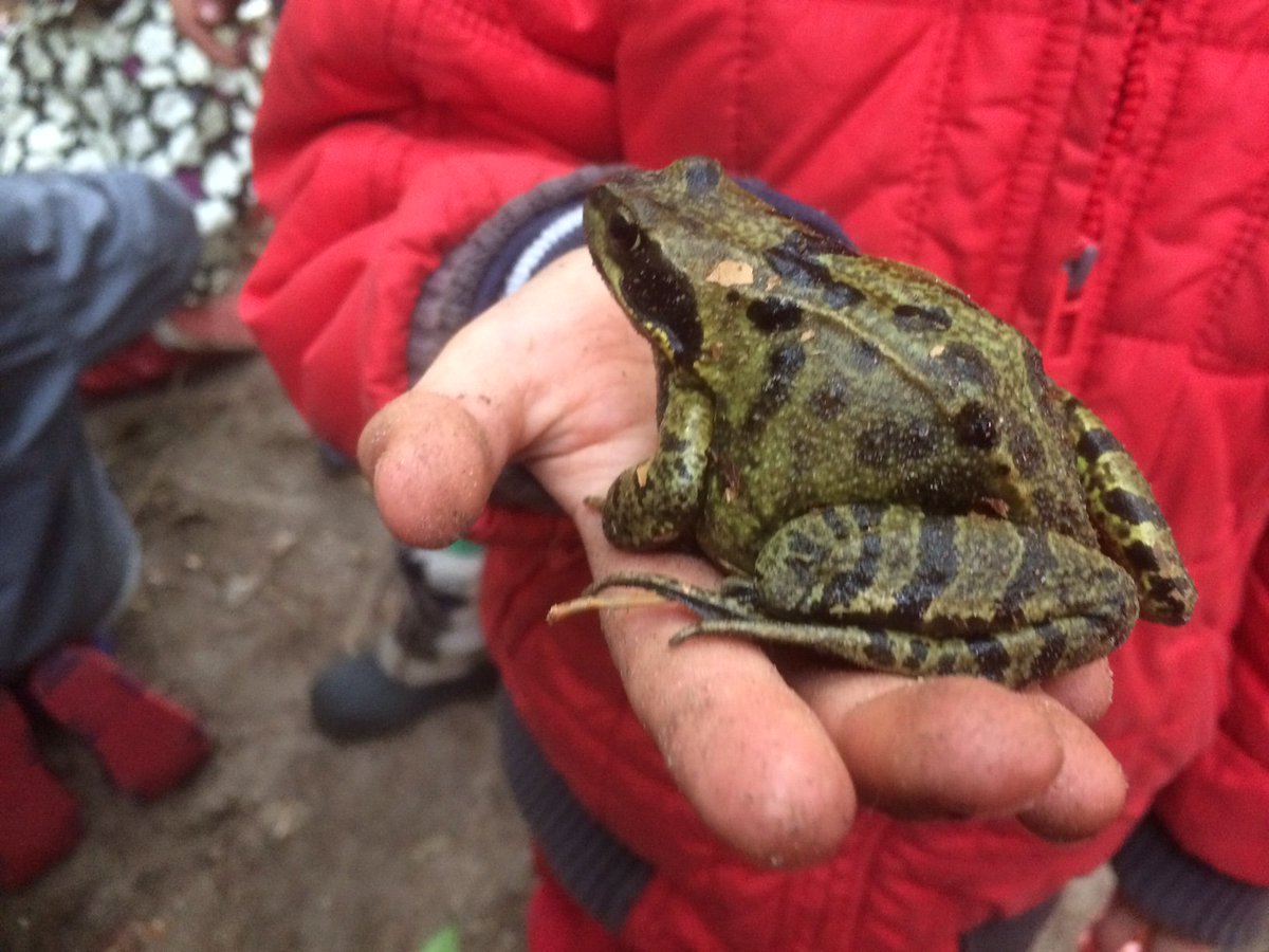 Dat we in en met de natuur leven met zijn allen, kun je niet vroeg genoeg leren :-) Kijk een prins!  facebook.com/debuitenschool…