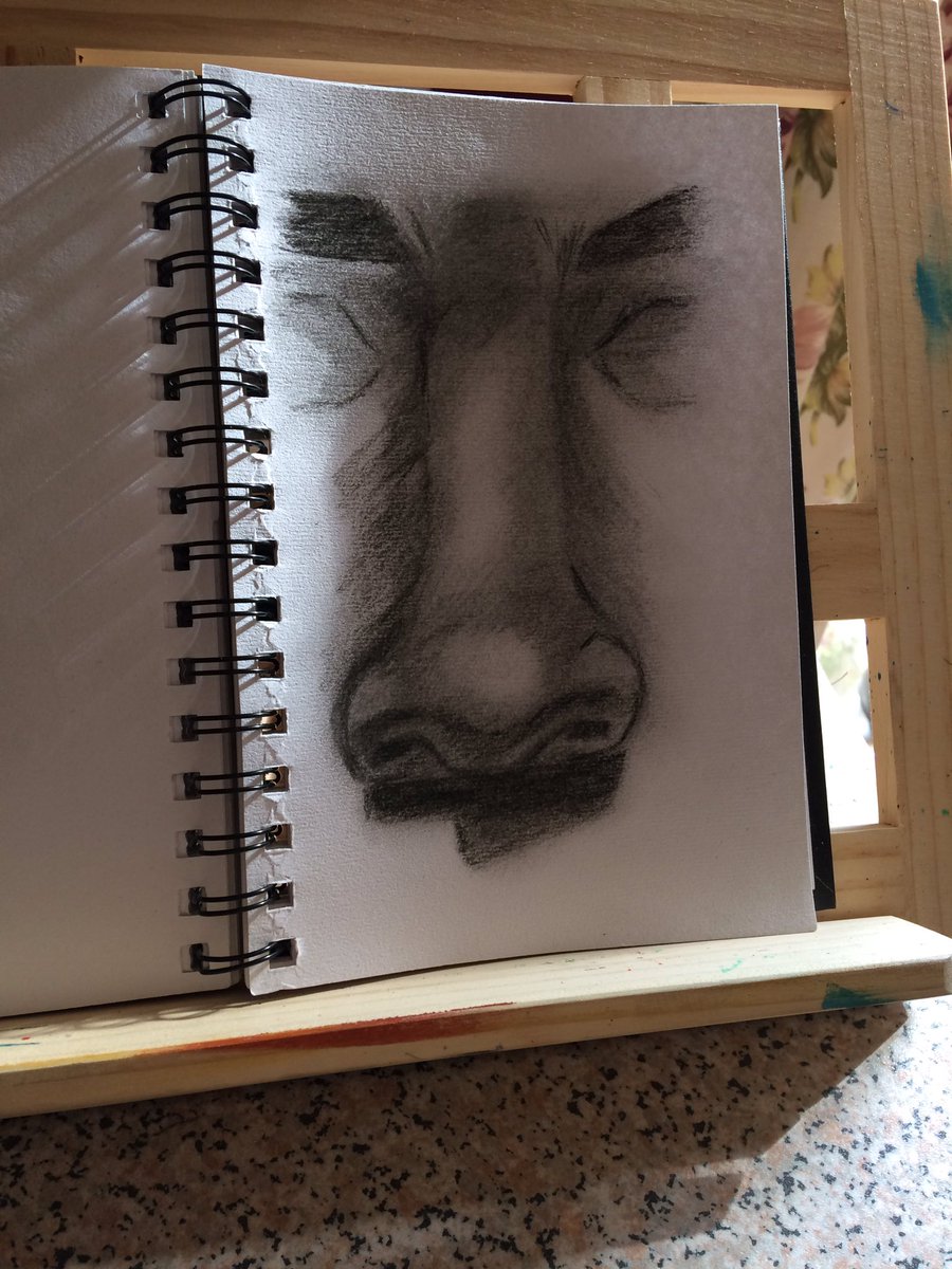 ChloeMohamedArt's tweet photo. Noses in Charcoal pencil #differentpositions #noses #sideview #art https://t.co/KP2vJWVhTe