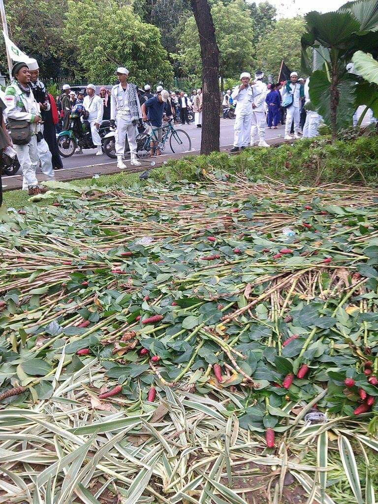 amorganaaa's tweet photo. Dlm agama ada perintah merajam manusia-manusia yang merusak lingkungan ga sih? Gemes. https://t.co/oPLcNsk5Z6