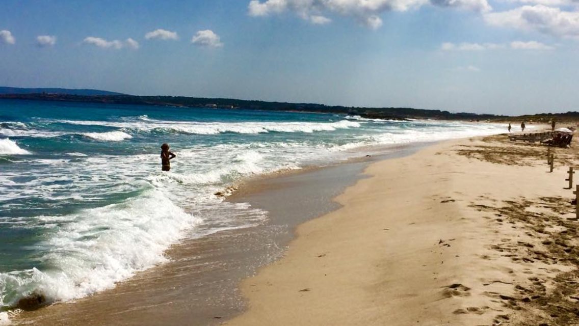 formenterain's tweet photo. Sunny #Autumn days in #Formentera
https://t.co/v89FwKrhx7 https://t.co/hkfl3jfRwe