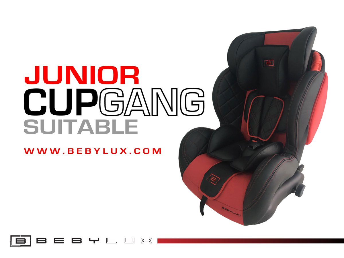 bebylux car seat