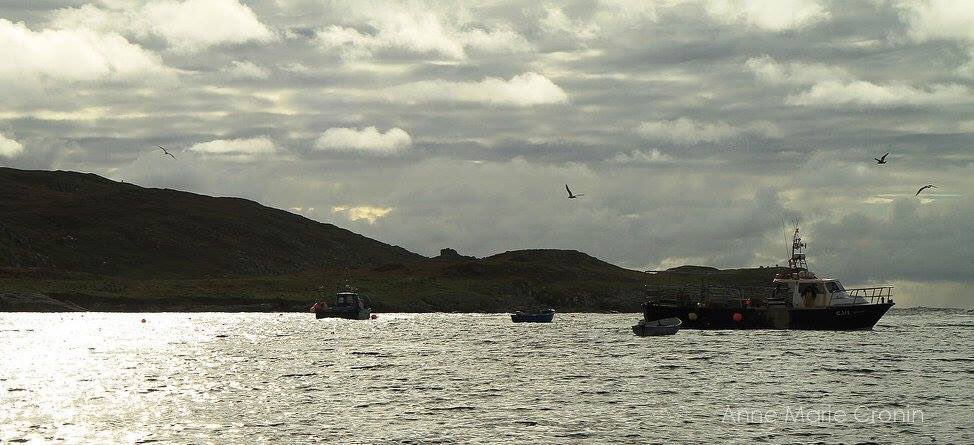 Anne Marie Cronin Photography tweet media