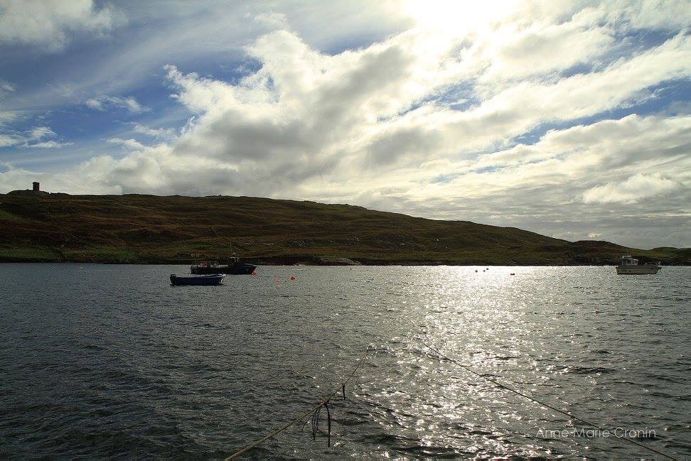 Anne Marie Cronin Photography tweet media