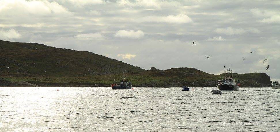 Anne Marie Cronin Photography tweet media