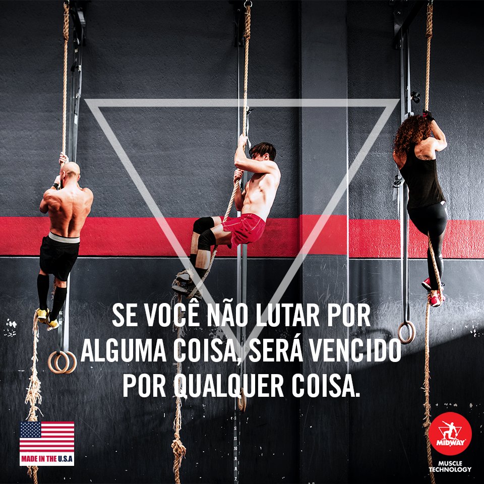 Quem abandona a luta nunca saboreia o gosto de uma vitória. Persista!