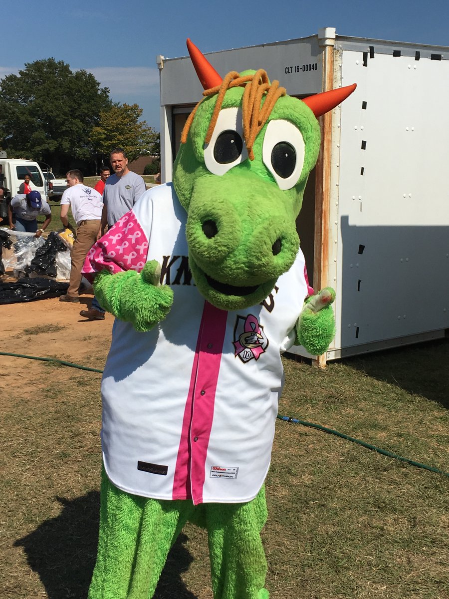 CLTPlayground's tweet photo. Thank you to Homer and the Charlotte Knights for bringing even more fun to this year’s Playground Build at Blythe! https://t.co/Rdqg98aApO