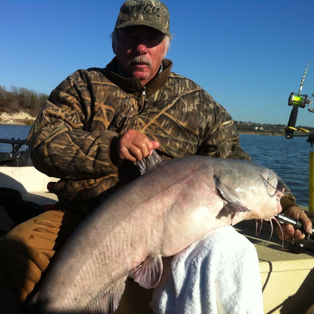 CatchCatfish tweet picture