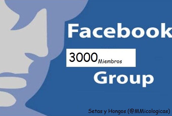 MMicologicas's tweet photo. Ya Somos 3000 en #Facebook .Únete a un foro participativo en el que todos aportamos nuestras experiencias..! Setas y Hongos (@MMicologicas ) https://t.co/GbUpZQNbwC