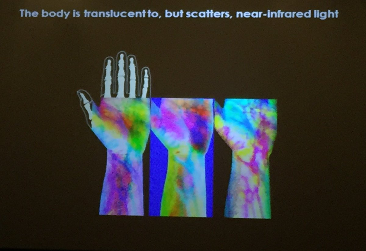 i2iworkshop's tweet photo. Mary Lou Jepsen, PHD explains a new and improved #holography.  #voxels #innovation #i2iworkshop https://t.co/nFUadblbk1
