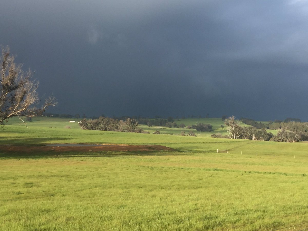 Spring morning in South West WA. More numbers to fill the Rain chart.