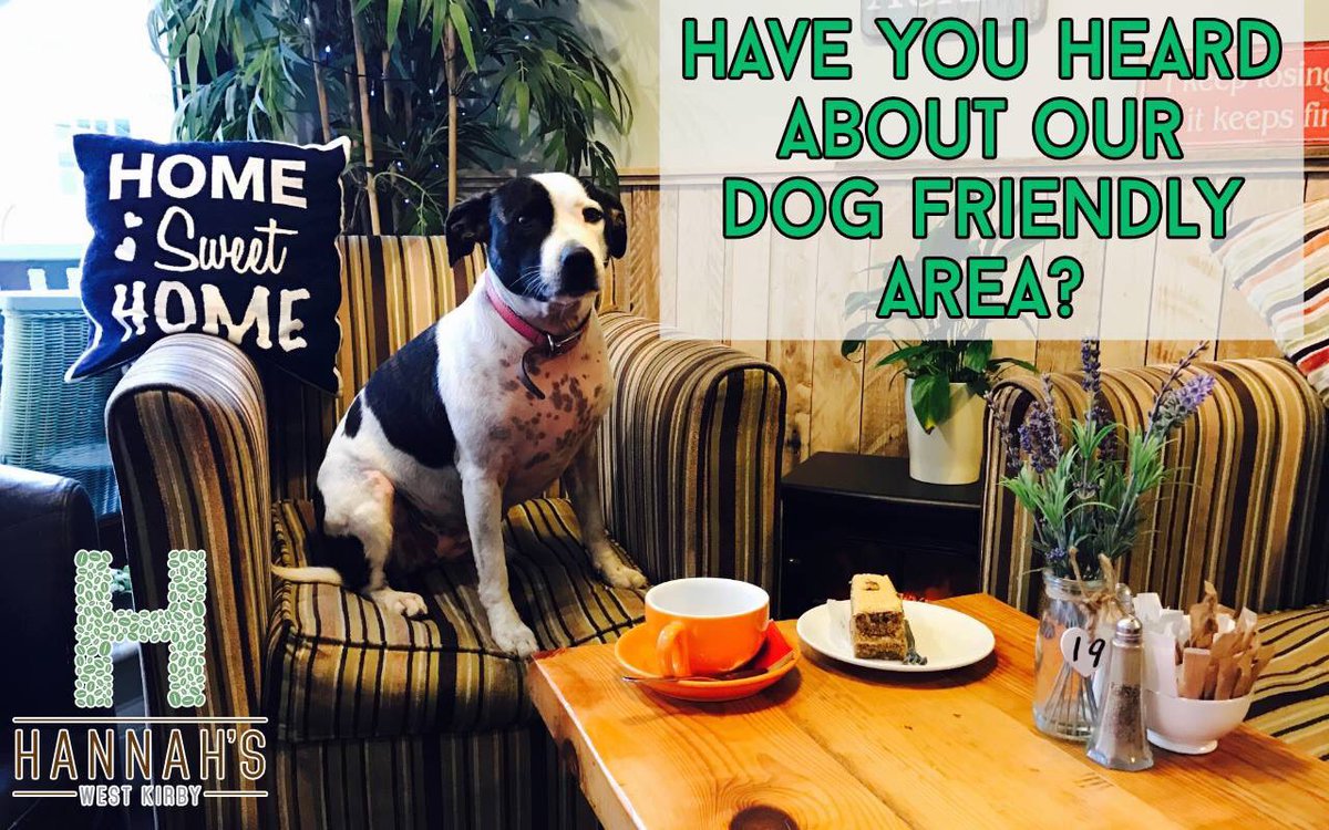 Keep out the cold this winter after your dog walk 🐶