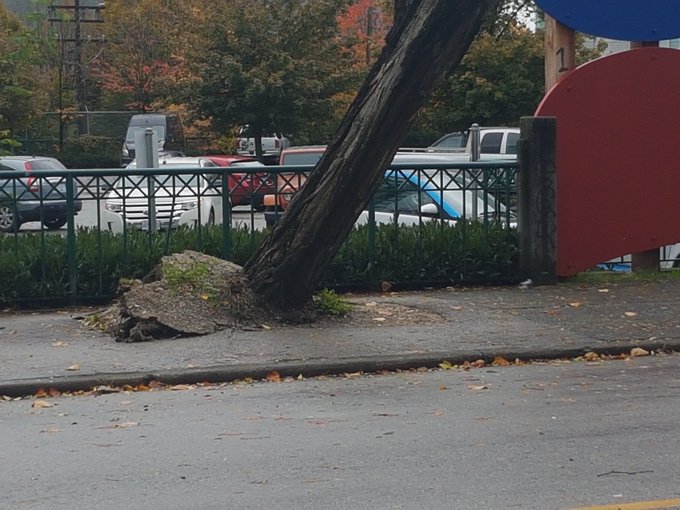 View image on Twitter