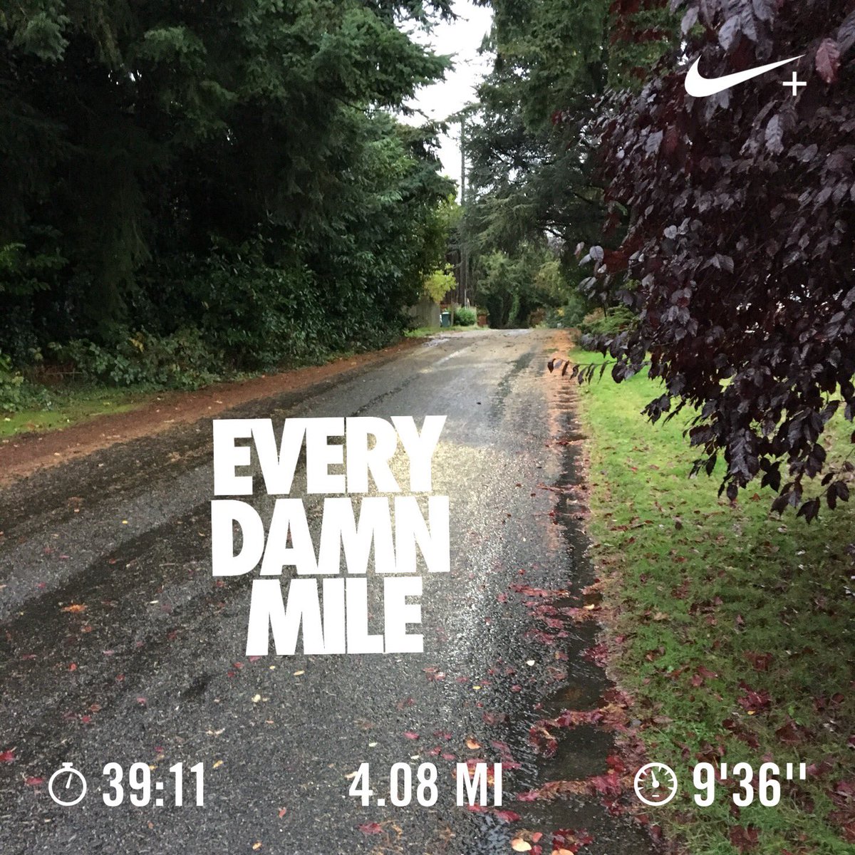 Alpine_Skye's tweet photo. @nikewomen @NikeSeattle @NikeRunning 1st Run since #pdxmarathon Felt GREAT! #nikefast https://t.co/wh4iZFeDmj