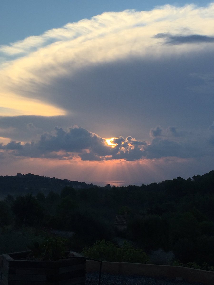 Andreu Roig Sastre (@andreuroig) on Twitter photo 