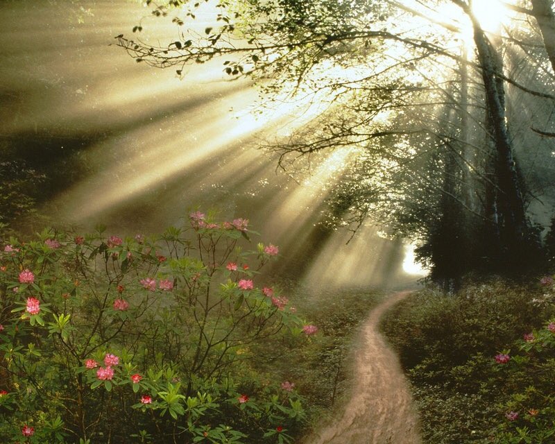 t5tqj's tweet photo. 🌾تمسك بخيوط الشمس حتى ولو كانت بعيدة،،، https://t.co/0duviKt4ik