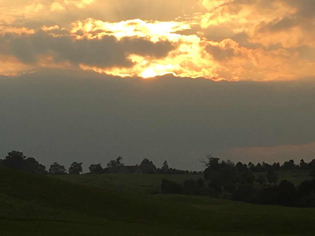 endyak's tweet photo. @CumberwellPark looking great this evening https://t.co/1WqODsAZmV
